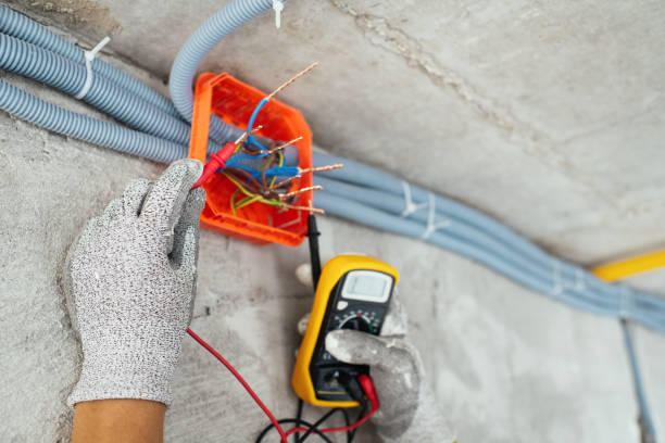 Best Electric Panel Repair  in Jacksonville, FL